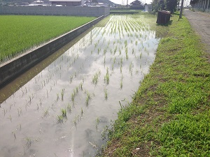 7月1日ブログ用.jpg